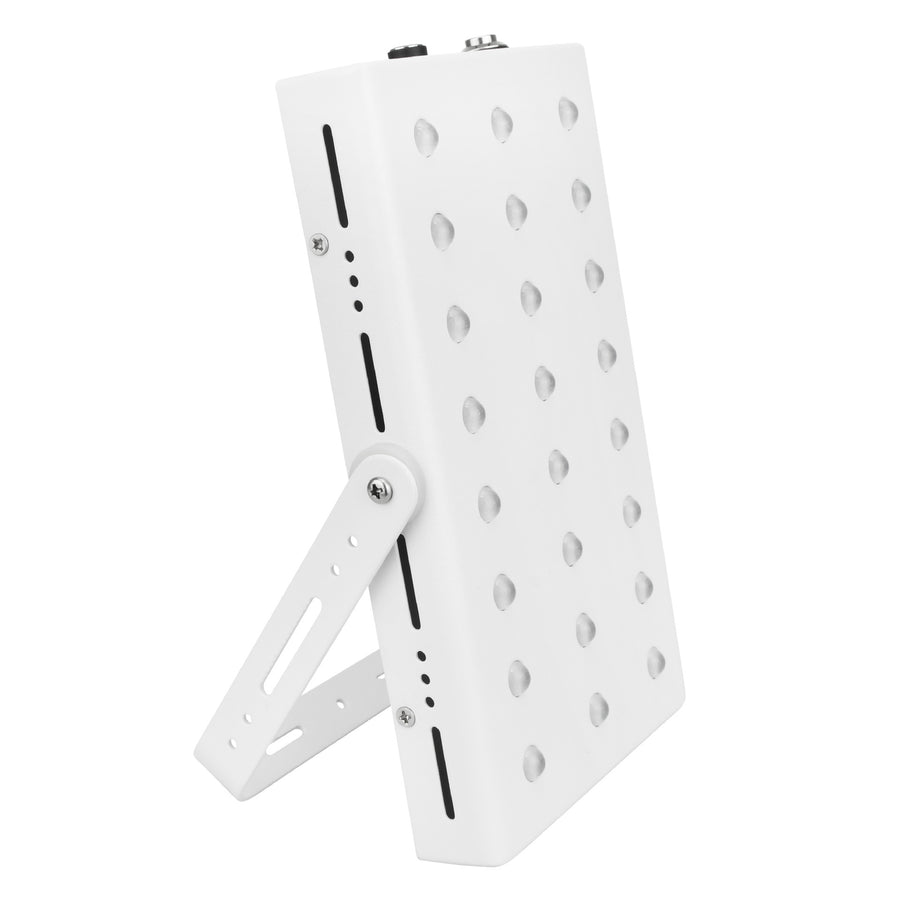 Panel de luz roja Compact 660/850 nm con soporte